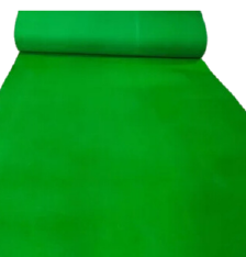Swagatam Fo Green Carpet