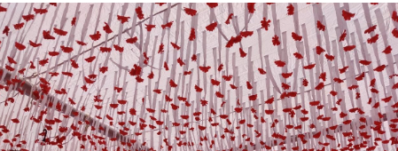 10x10 5flower Ribbon Ceiling 1 10x10 5flower Ribbon Ceiling