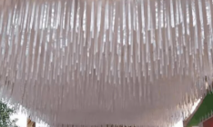 15x10 Fur Ceiling