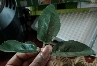 3 In 1 Patti Dark Green 1 3 In 1 Patti Dark Green