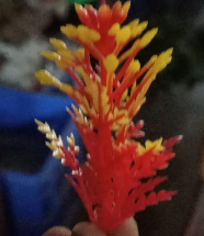 Anda Filler Red Yellow