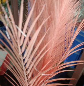 Feather Bunch Jt