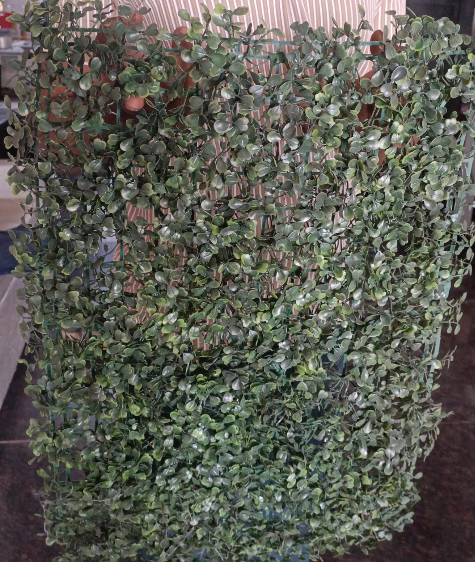 Ficus Spray Leaf 2 Ficus Spray Leaf - Image 2