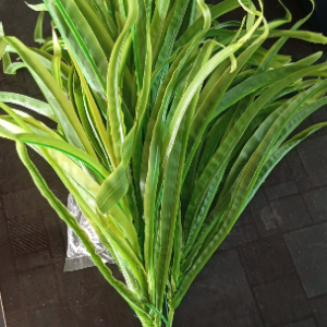Green Filler Bunch Grass Leaf-vt 1104