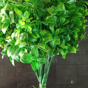 Green Filler Bunch Lemon Leaf-vt 1105