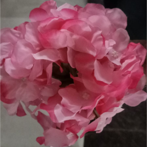 Hydrangea 54 Petals - Vt