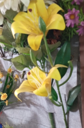 Lily Flower Big 1 Lily Flower Big