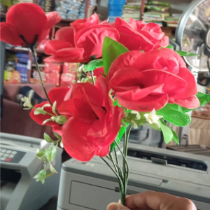 Rose Kali Bunch 2213 Cd