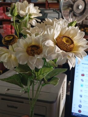 Sun Flower 9 Stick 1 Sun Flower 9 Stick