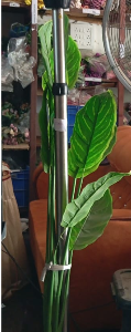 Umbrella Heater