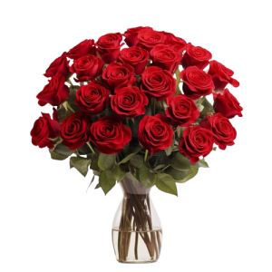 61QFtjVVy5L._SL1024_-removebg-preview