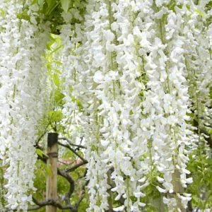 New Project - 2024-04-13T131731.963